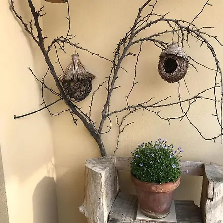 Bed & Breakfast La Combriccola