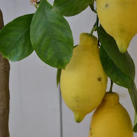 La Combriccola 3* Сантарканджело-ди-Романья