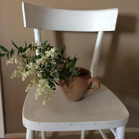 Bed & Breakfast La Combriccola 3*