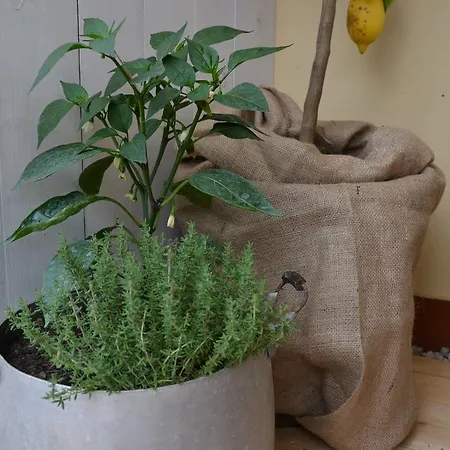 Bed & Breakfast La Combriccola 3*