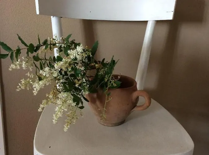 Bed & Breakfast La Combriccola 3*