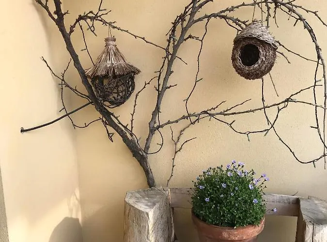 Bed & Breakfast La Combriccola