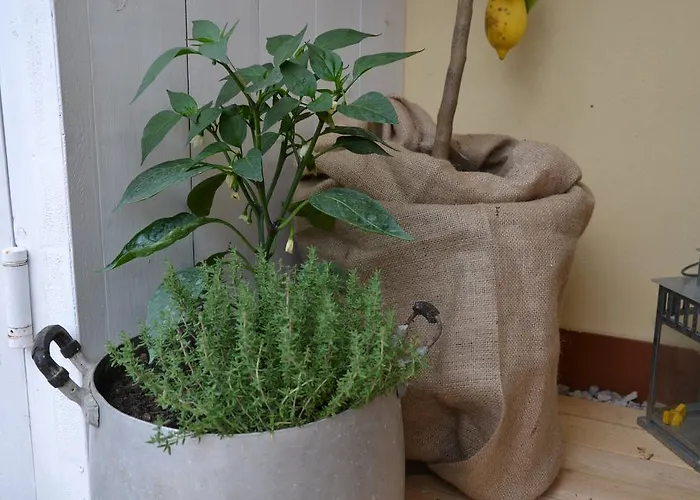 Bed & Breakfast La Combriccola 3*